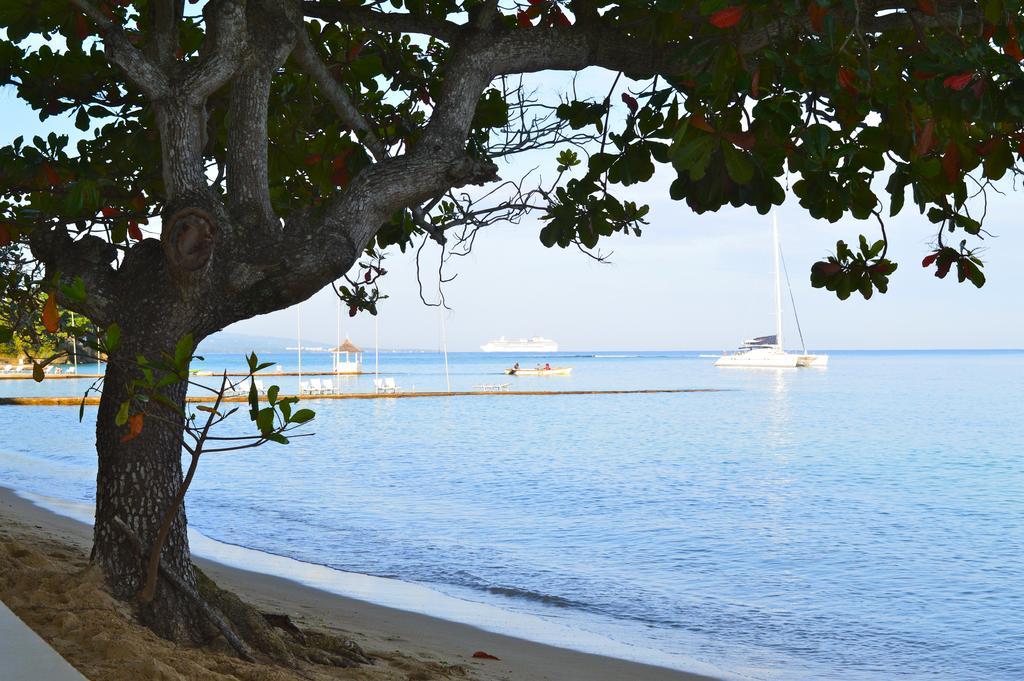 Kaz Kreol Beach Hotel Ocho Rios Luaran gambar
