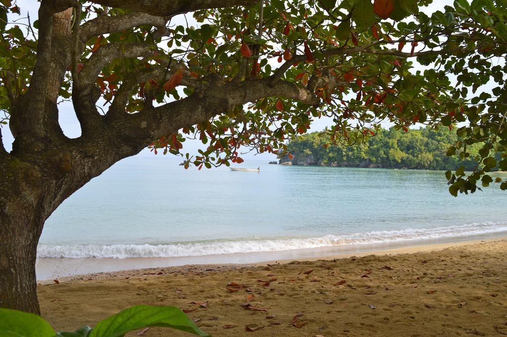Kaz Kreol Beach Hotel Ocho Rios Luaran gambar