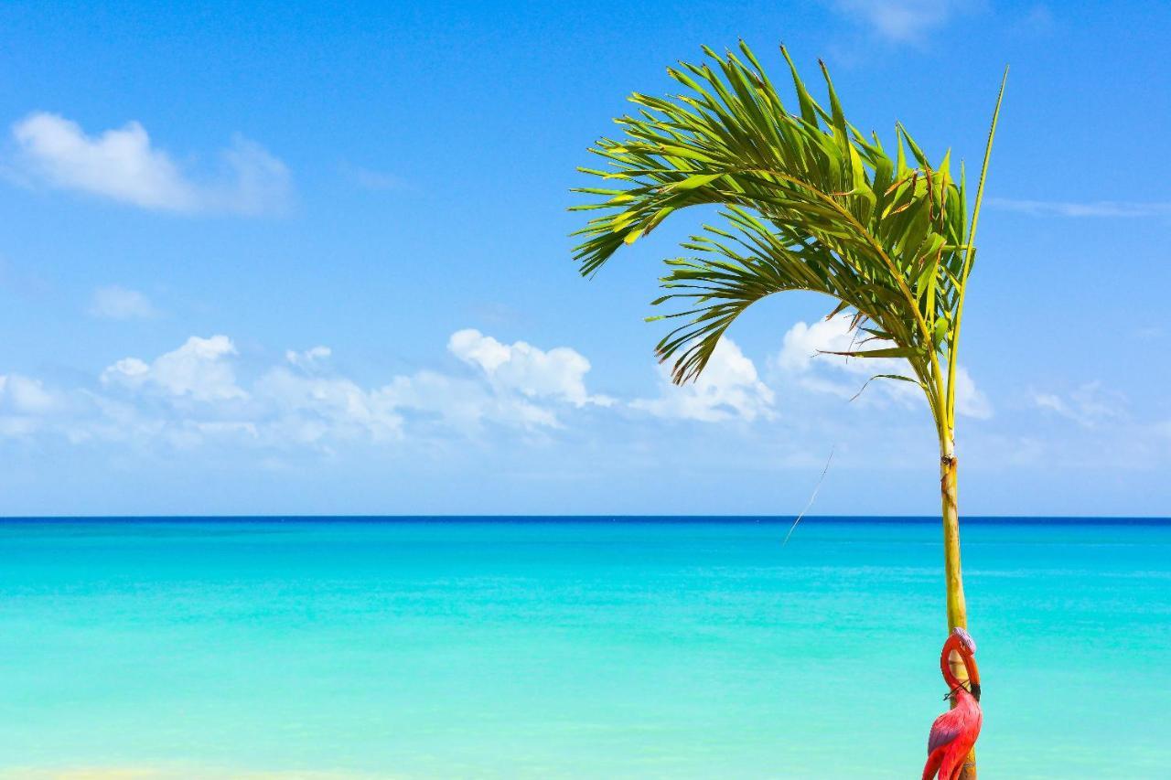 Kaz Kreol Beach Hotel Ocho Rios Luaran gambar